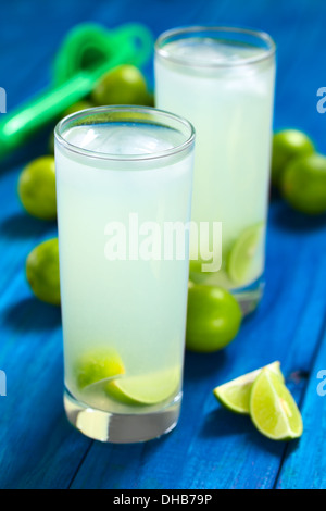 Frisch zubereitete erfrischende Limonade aus Limetten mit Eiswürfeln im Longdrinkglas mit Limetten und Saftpresse in den Rücken Stockfoto