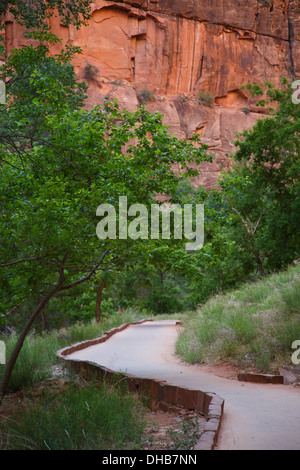 Riverside Walk in der Nähe der Tempel Sinawava, Zion Nationalpark, Utah. Stockfoto