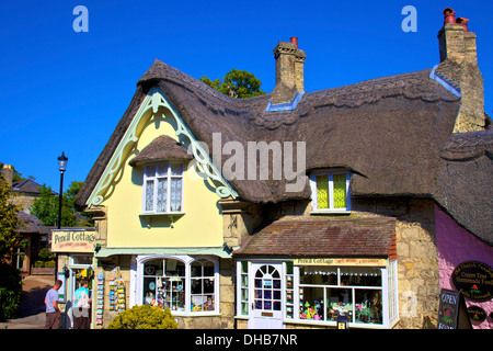 Teestube und Geschenkeladen, Shanklin, Isle Of Wight, Großbritannien Stockfoto