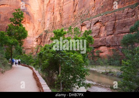 Riverside Walk in der Nähe der Tempel Sinawava, Zion Nationalpark, Utah. Stockfoto