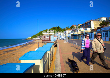 Strand Hütten, Ventnor Strand, Ventnor, Isle Of Wight, Großbritannien Stockfoto
