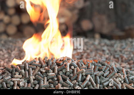 Verschiedene Arten von Pellets-Eiche, Kiefer, Sonnenblume, auf einem Flammen-selektiven Fokus auf dem heap Stockfoto