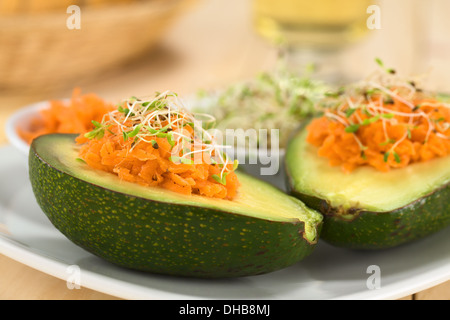 Avocado-Hälften mit geriebenen Karotten gefüllt und bestreut mit Alfalfasprossen auf Teller serviert Stockfoto