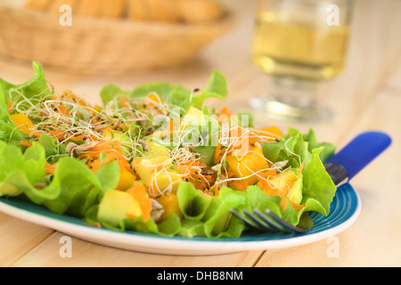 Frische und leichte vegetarische Salat gemacht von Mango, Avocado, Möhren und Salat, mit Alfalfasprossen und Sonnenblumenkernen Stockfoto