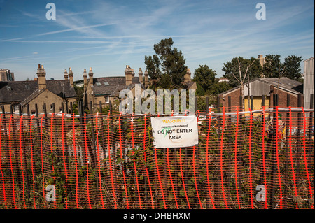 Japanischer Staudenknöterich Fallopia Japonica hinter einem roten Plastice Barier Zaun sagen "Geben Sie nicht" in einem Vorort von East London. Stockfoto