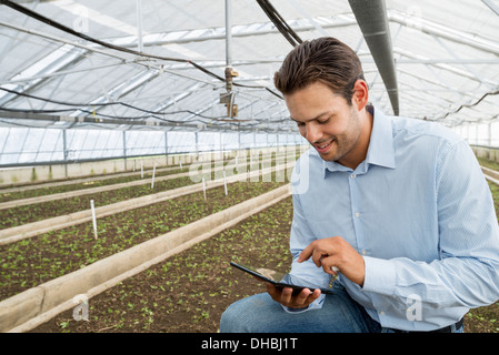 Ein Gewächshaus in einer Gärtnerei Bio Blumen zu wachsen. Ein Mann hält eine digitale-Tablette. Stockfoto