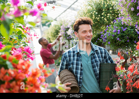 Ein Gewächshaus in einer Gärtnerei Bio Blumen zu wachsen. Ein Mann arbeitet, trägt Töpfe. Stockfoto