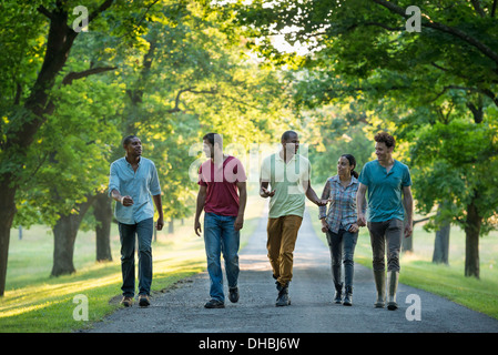 Fünf Menschen auf einem Baum gesäumten Allee auf dem Lande. Stockfoto