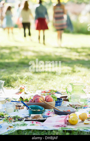 Eine Gruppe von Erwachsenen und Kinder sitzen auf dem Rasen im Schatten eines Baumes. Ein Familienfest. Stockfoto