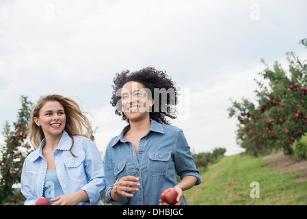 Ein Bio-Apfel-Baum-Obstgarten. Zwei Frauen mit Äpfeln in den Händen. Stockfoto