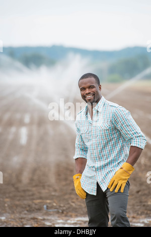 Ein pflanzliches Biobauernhof mit Wassersprenger Bewässerung der Felder. Ein Mann in Arbeitskleidung. Stockfoto