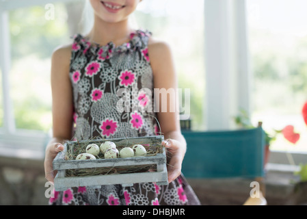 Ein junges Mädchen in einem geblümten Kleid, gesprenkelten Vogel Eier in einer Box zu prüfen. Stockfoto