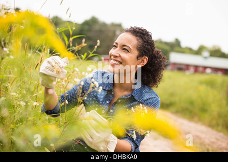 Frau arbeitet auf einem Bio-Bauernhof. Mit Handschuhen bewundernden hoch blühenden Pflanzen. Stockfoto