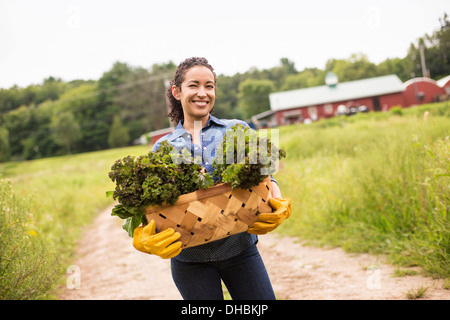 Arbeiten auf einem Bio-Bauernhof. Eine Frau mit einem Korb voll mit frischem grünem Gemüse, frisch gepflückt. Stockfoto