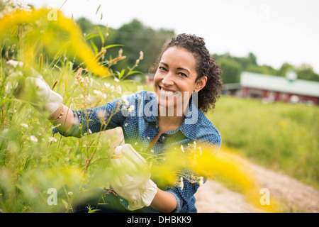 Frau arbeitet auf einem Bio-Bauernhof. Mit Handschuhen bewundernden hoch blühenden Pflanzen. Stockfoto