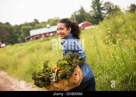 Arbeiten auf einem Bio-Bauernhof. Eine Frau trägt einen Korb mit frischem grünem Gemüse, frisch gepflückt zu produzieren. Stockfoto