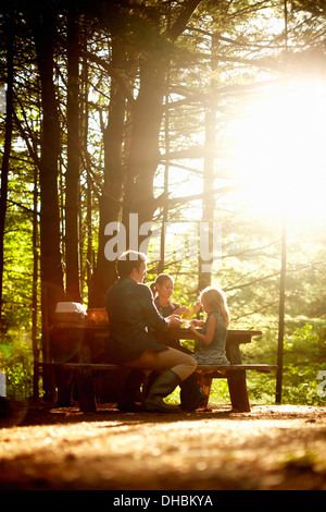 Drei Menschen, eine Familie sitzt an einem Picknicktisch unter Bäumen, in den späten Nachmittag. Stockfoto