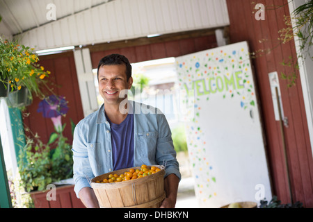 Ein Bauernhof, Anbau und Verkauf von Bio-Gemüse und Obst. Ein Mann hält eine Schale mit Korb mit frisch gepflückten Tomaten. Stockfoto