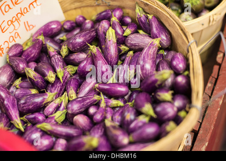 Ein Bauernhof, Anbau und Verkauf von Bio-Gemüse und Obst.  Ein Korb mit kleinen Aubergine, Auberginen. Stockfoto