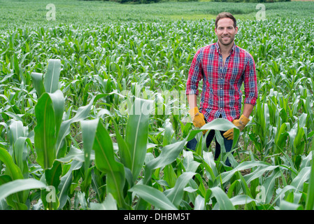 Ein Mann steht in einem Feld von Mais auf einem Bio-Bauernhof. Stockfoto