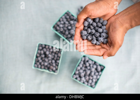 Bastkörbe von frischen Bio Beerenobst.  Eine Person, die eine Handvoll Blaubeeren. Stockfoto