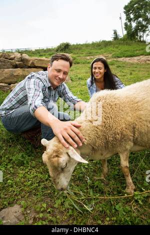 Ein Bio-Bauernhof in den Catskills. Zwei Personen mit einem Schaf Weiden. Stockfoto