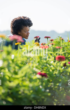 Eine Frau unter den Blumen wachsen in den Feldern stehen. Stockfoto