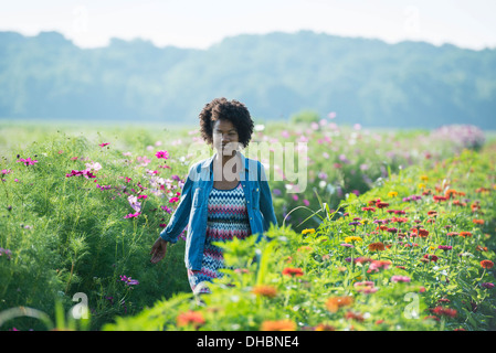 Eine Frau unter den Blumen wachsen in den Feldern stehen. Kosmos von rosa und weißen Blüten. Stockfoto