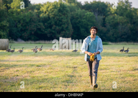 Ein Mann geht über ein Feld von einem Schwarm Gänse im Freien an der frischen Luft. Stockfoto