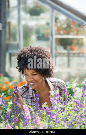 Eine Frau in einer Gärtnerei, umgeben von blühenden Pflanzen und Laub. Stockfoto