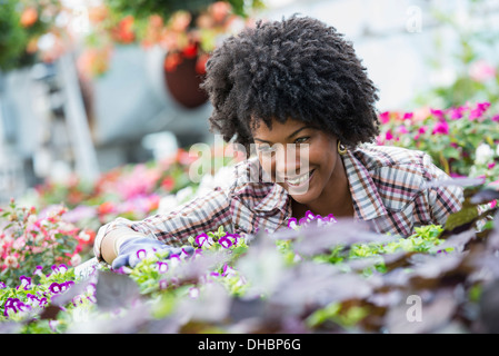 Eine Frau in einer Gärtnerei, umgeben von blühenden Pflanzen und Laub. Stockfoto