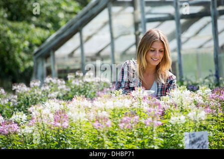 Eine Frau in einer Gärtnerei, umgeben von blühenden Pflanzen und Laub. Stockfoto