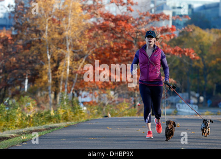 Frauen Joggen mit kleinen Hunden auf der Esplanade in Boston, Massachusetts, USA Stockfoto