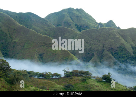 Neblige Landschaften an der Cerros de Los Picachos Ola Berge, Cordillera Central, Provinz Cocle, Republik Panama. Stockfoto