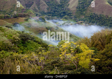 Neblige Landschaften an Cerros de Los Picachos Ola, Cordillera Central, Provinz Cocle, Republik Panama. Stockfoto