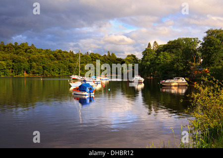 Boote vertäut am Loch Lomand in Aldochlay, Schottland Stockfoto