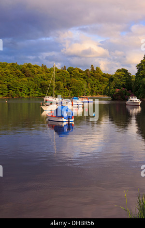 Boote vertäut am Loch Lomand in Aldochlay, Schottland Stockfoto