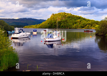 Boote vertäut am Loch Lomand in Aldochlay, Schottland Stockfoto