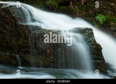 Wasserfall durch Lael Wald Stockfoto