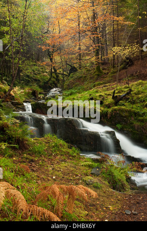 Wasserfall durch Lael Wald Stockfoto