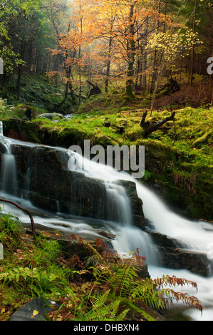 Wasserfall durch Lael Wald Stockfoto