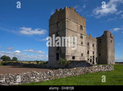 Ruiniert 17. Jahrhundert Loughmoe Gericht, das beinhaltet auch ein Turm aus dem 15. Jahrhundert, in der Nähe von Templemore, County Tipperary, Irland Stockfoto