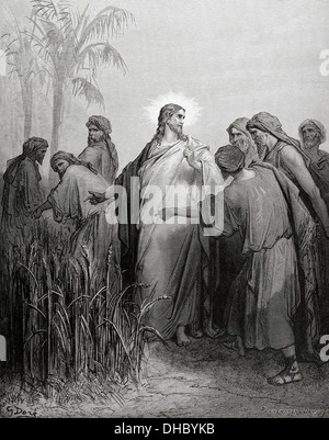 Neuen Testaments. Evangelium des Matthäus. Kapitel XII. Die Apostel versammelten sich Ohren in der Tag der Ruhe. Gravur. Stockfoto