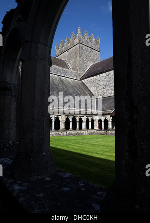 Klöster in Heilig Kreuz Abtei restauriert Zisterzienserkloster, das seinen Namen von einer Reliquie des wahren Kreuzes, County Tipperary, Irland. Stockfoto