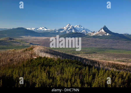 Mount Washington, drei Schwestern und Reste von einem massiven Waldbrand aus dem Pacific Crest National Scenic Trail betrachtet. Stockfoto