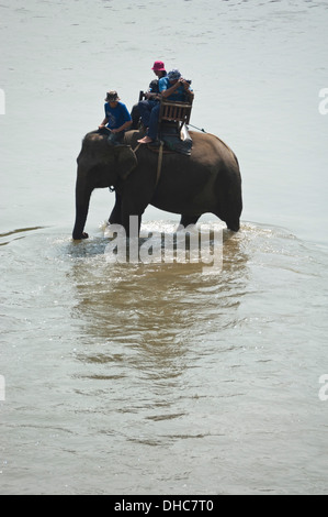Vertikale nahe Porträt von einem lokalen Lao Mahout und Touristen auf Elefanten zu Fuß durch einen Fluss in Laos. Stockfoto