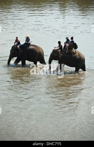 Vertikale Ansicht eines einheimischen Lao Mahouts und Touristen auf Elefanten trekking durch Wasser in Laos. Stockfoto