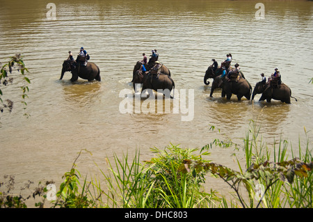 Horizontale Ansicht von einem lokalen Lao Mahouts mit Touristen auf Elefanten zu Fuß entlang eines Flusses in Laos. Stockfoto