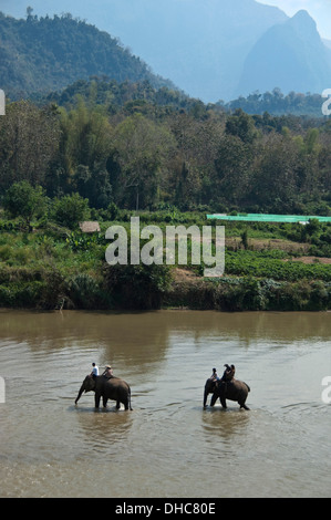 Vertikale Ansicht von Touristen auf Elefanten zu Fuß entlang eines Flusses in der Laos-Landschaft. Stockfoto