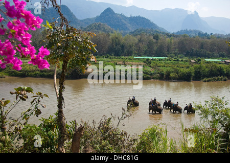 Horizontale Ansicht von Touristen auf Elefanten zu Fuß entlang eines Flusses in der Laos-Landschaft. Stockfoto